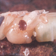 Varroa mites feasting on bee larvae, via Stephen Martin / University of Salford